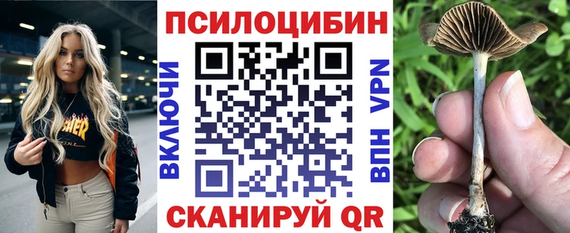 гидра ONION  Углич  Псилоцибиновые грибы мухоморы  наркотики 
